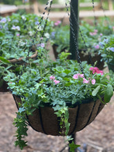 Load image into Gallery viewer, 16” Flat Bar Hanging Basket