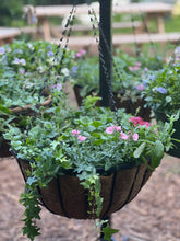 Load image into Gallery viewer, 16” Hanging Basket REFILL