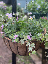Load image into Gallery viewer, 16” Wire Hanging Basket