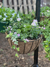 Load image into Gallery viewer, 16” Wire Hanging Basket