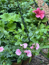 Load image into Gallery viewer, 16” Flat Bar Hanging Basket