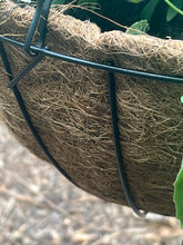Load image into Gallery viewer, 16” Wire Hanging Basket