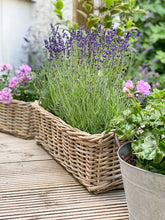 Load image into Gallery viewer, Rattan Garden Planter