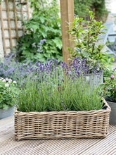 Load image into Gallery viewer, Rattan Garden Planter