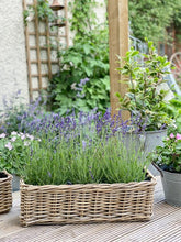 Load image into Gallery viewer, Rattan Garden Planter