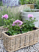 Load image into Gallery viewer, Rattan Windowsill Planter