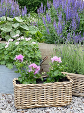 Load image into Gallery viewer, Rattan Windowsill Planter