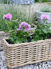 Load image into Gallery viewer, Rattan Windowsill Planter