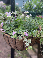 Load image into Gallery viewer, 14” Wire Hanging Basket

