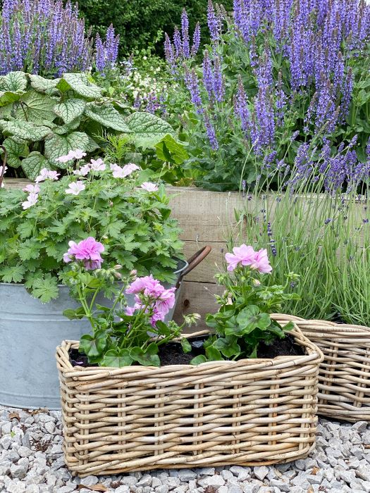 lavender windowsill planter Rattan Windowsill Planter – Patch To Posy