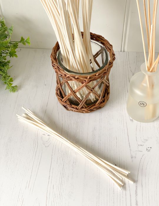Reed Bundle – Patch To Posy